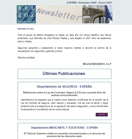 Newsletter España - Newsletter Diciembre 2020 - Enero 2021
